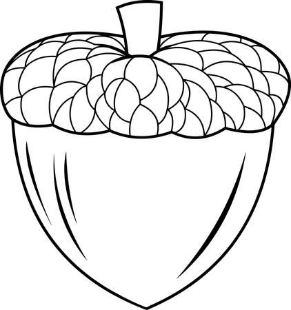 Outlined Cartoon Acorn In The Shell. Vector Hand Drawn Illustration Isolated On White Backgroundのイラスト素材