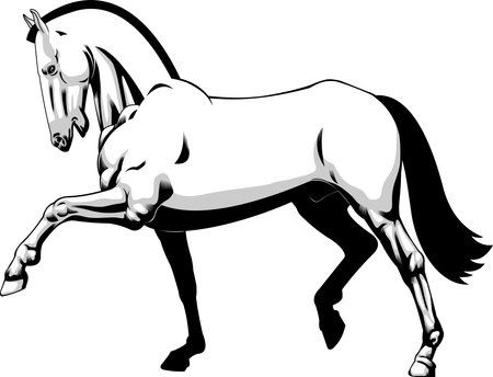 Running Horse Graphic Design. Vector Hand Drawn Illustration Isolated On Transparent Backgroundのイラスト素材