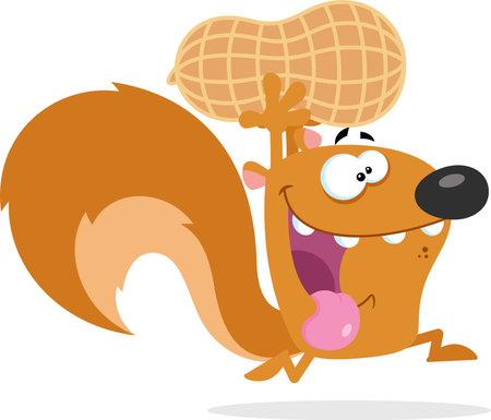 Crazy Squirrel Cartoon Mascot Character Running With Big Peanut. Vector Illustration Flat Design Isolated On Transparent Backgroundのイラスト素材