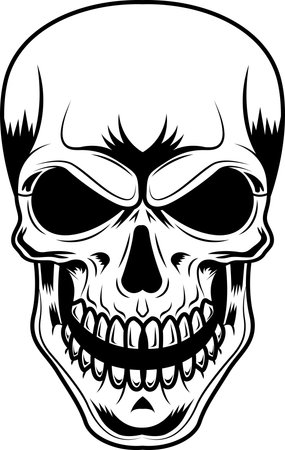 Outlined Human Skull Graphic Design. Vector Hand Drawn Illustration Isolated On Transparent Backgroundのイラスト素材