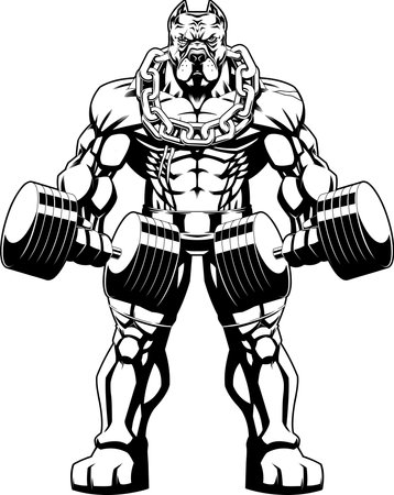 Outlined Muscular PitBull Bodybuilder Mascot Doing Exercise With Dumbbells. Vector Hand Drawn Illustration Isolated On Transparent Backgroundのイラスト素材