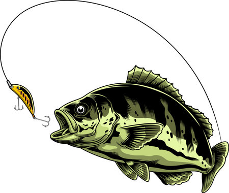Bream Fish Catching The Fishing Lure Graphic Design. Vector Hand Drawn Illustration Isolated On Transparent Backgroundのイラスト素材
