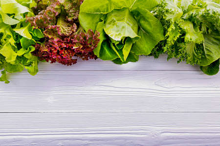 Ingredients for the healthy foods selection. Fresh Green lettuce set up on white wooden background.の写真素材