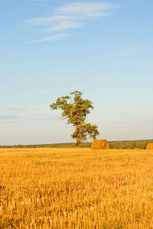 Hayrick, haystack