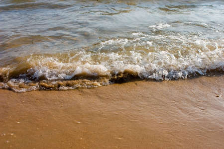 Seasurf