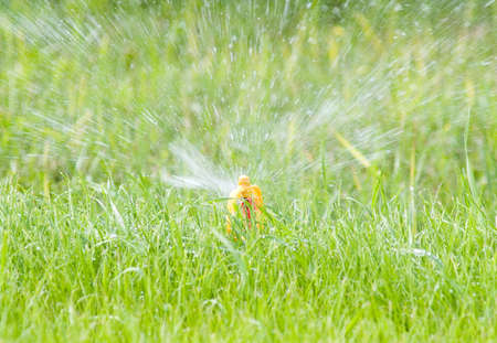 Water sprinkler on green lawnの写真素材