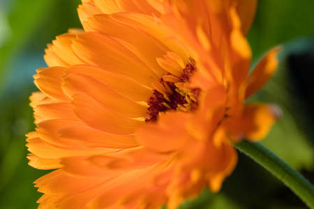 Chuew060900043