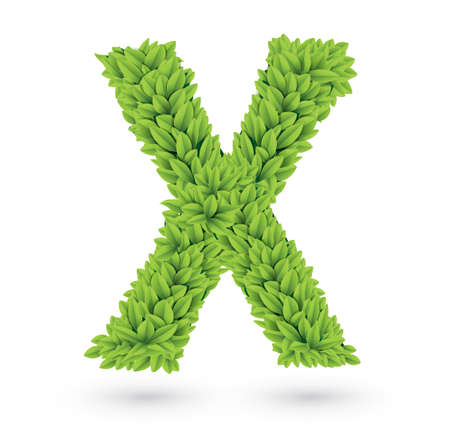 Letter of green leaves with shadowのイラスト素材