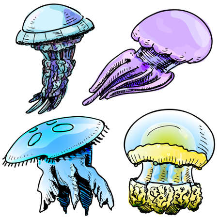 Jelly fish collectionのイラスト素材