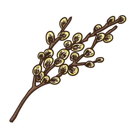 Sketch vector element for spring Easter design.のイラスト素材