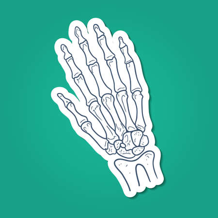Sketch sticker vector element for medical or health care designのイラスト素材