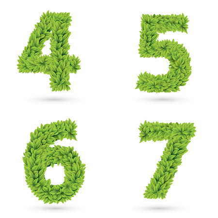 Numbers of green leaves collection のイラスト素材