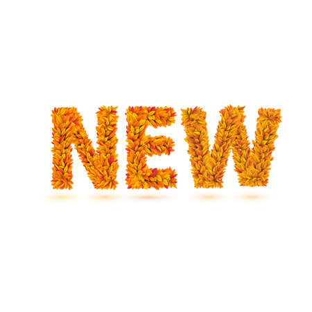 New word of autumn fall bright orange leavesのイラスト素材