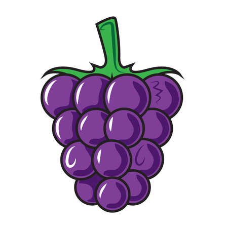 Blackberry isolated on white.のイラスト素材