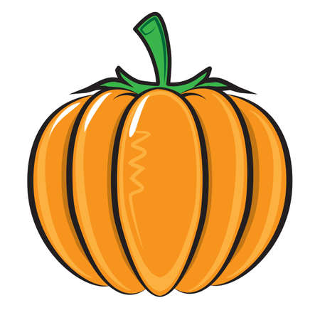 Pumpkin isolated on white.のイラスト素材