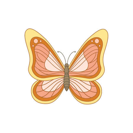 Spring butterfly.のイラスト素材