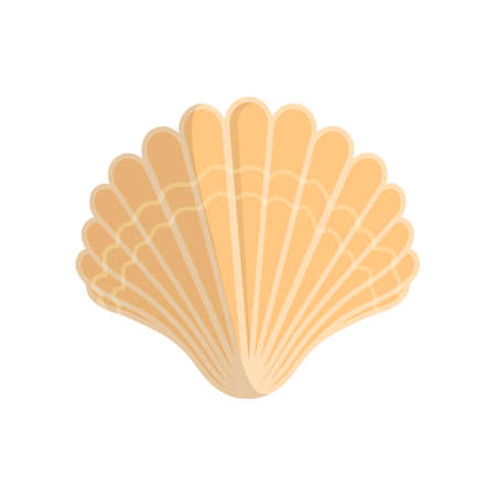 Sea shell.のイラスト素材