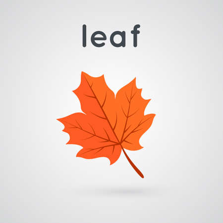 fall leaf and wordのイラスト素材