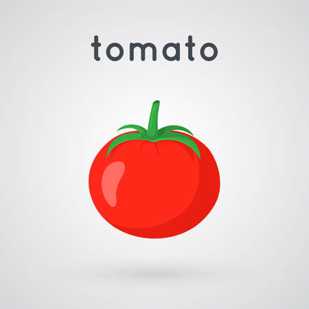 vegetable and wordのイラスト素材