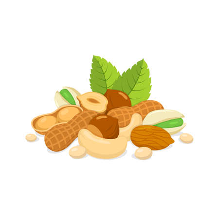 Healthy food collection isolated on white. Vector illustration.のイラスト素材