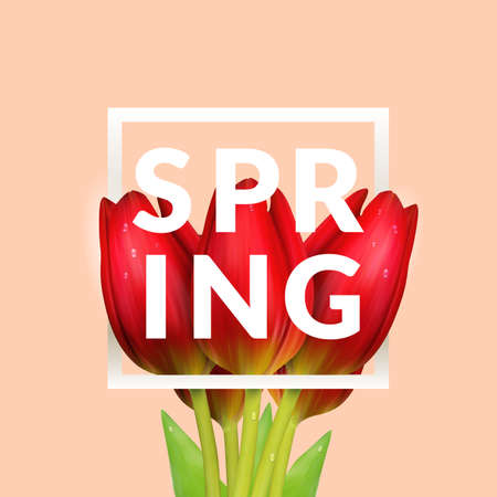 Tender spring background design.  resizable illustration.のイラスト素材