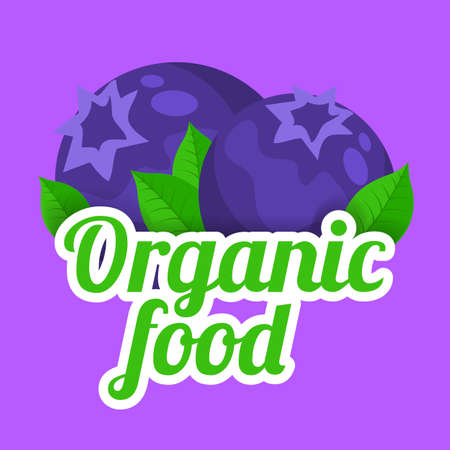 Fresh summer product sale template. Vector berry and text.のイラスト素材