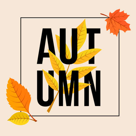 Fall season background. Vector illustration easy to edit.のイラスト素材