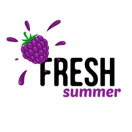 Blackberry simple background.のイラスト素材