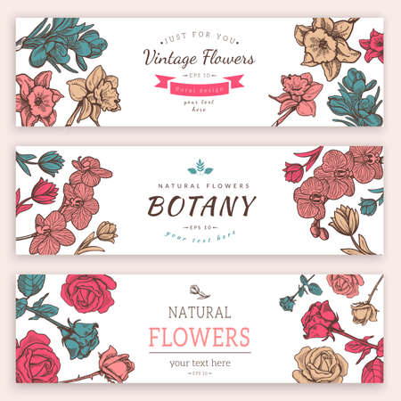 Flower vintage styled sketch banners.のイラスト素材