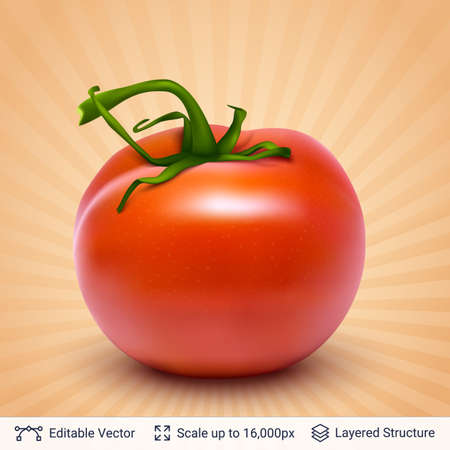 Realistic vector background easy to edit. Cuisine vegetable ingredient.のイラスト素材