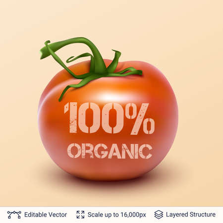 Realistic vector background easy to edit. Cuisine vegetable ingredient.のイラスト素材