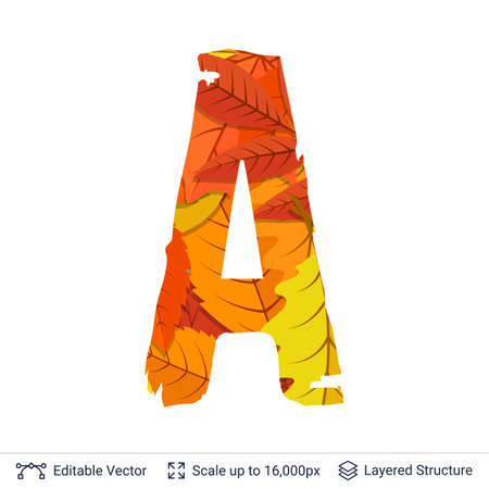 Autumn fall bright orange leaves letter.のイラスト素材