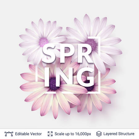 Spring season flowers and text.のイラスト素材