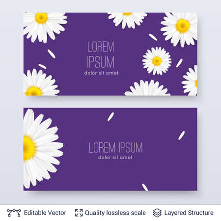 Chamomile flowers in frame composition.のイラスト素材