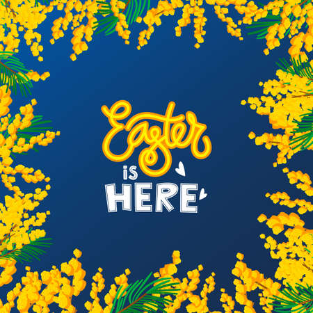 Mimosa floral frame Easter holiday background.のイラスト素材