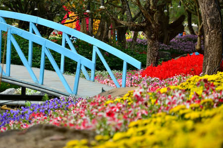 bridgeの写真素材