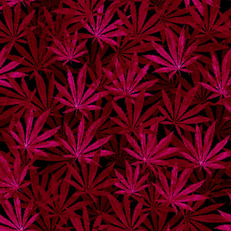 Purple, violet Cannabis leaves on white background. Hand drawn watercolor illustration of the plant Cannabis Sativa or Marijuana. Pattern with marijuana leaf for label, poster, web.の写真素材