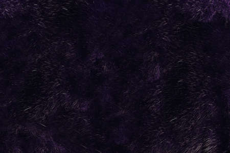 Mink fur. Mink fur texture of dark brown color close-up background. Black mink fur coat texture...