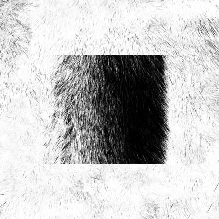 Fox fur texture of dark brown color close-up background. Black mink coat texture background. Animal fur texture. Natural short hair animal close up.の写真素材