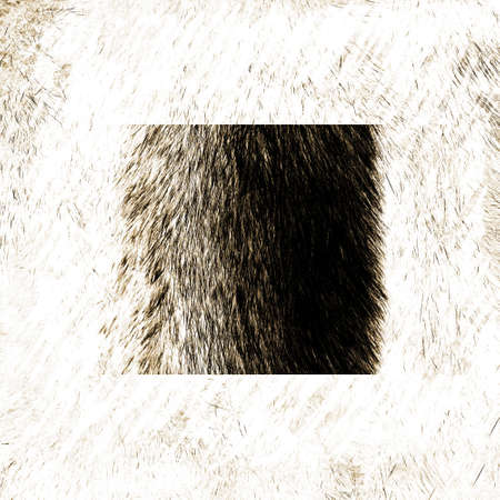 Mink fur. Fur texture of light beige color close-up background. Brown mink fur coat texture background. Animal fur texture fees. Short brown natural short hair animal close up.の写真素材