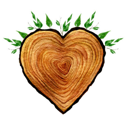 Watercolour wooden Heart isolated on white background. Watercolor heart wood slice illustration.の写真素材