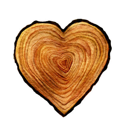 Watercolour wooden Heart isolated on white background. Watercolor heart wood slice illustration.の写真素材