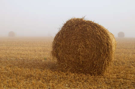 haystackの写真素材