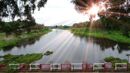 Light and green nature for lifeの素材