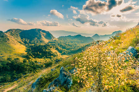 beautiful mountain peaks topped with sky, cloud and sun flaresの写真素材