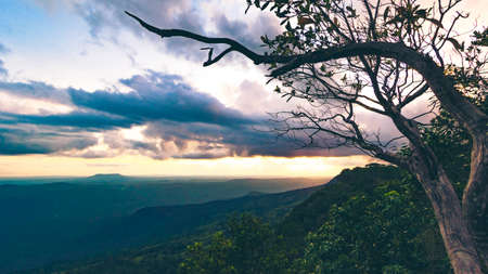The small tree and a landscape of mountain ridges, sunset sky, and clouds.  Location place Phu Kra Dung National park of Thailand.  in vintage styleの写真素材