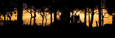 Silhuette people and trees in panormic style