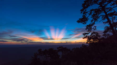 Panoramic twilight sky with silhoette trees at Phu Kra Dung National park of Thailandの写真素材