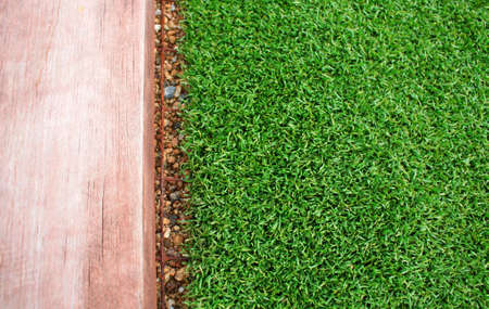 grass patternの写真素材