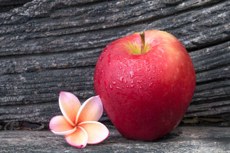 red apple and  flowerの写真素材